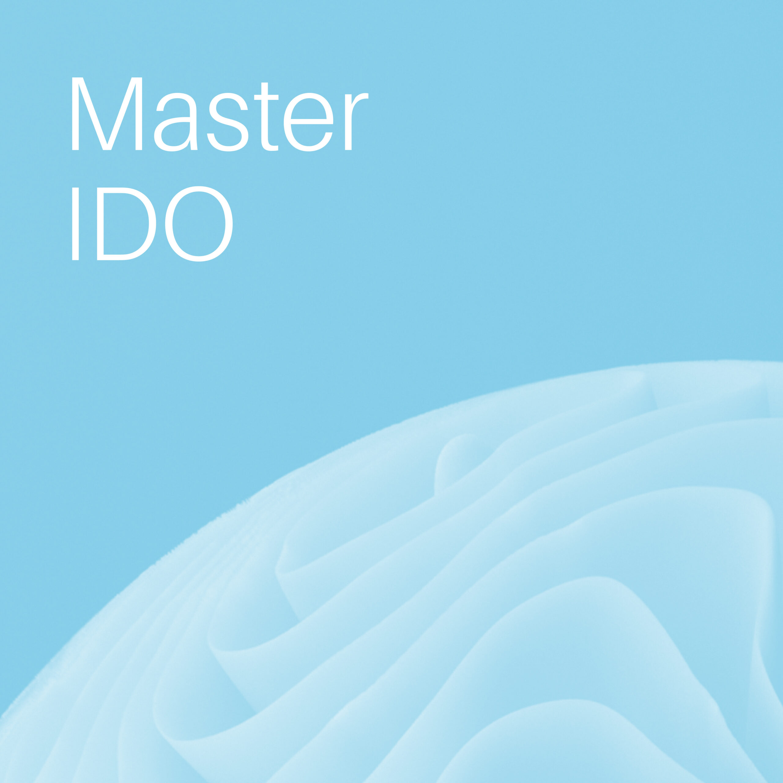 Master IDO – Docteur